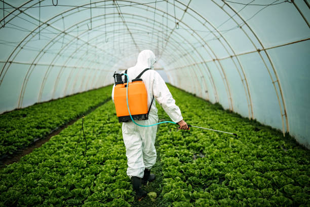 Best Local Pest Control Services  in Bohemia, NY