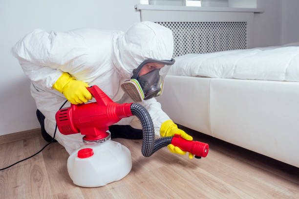 Pest Control Cost in Bohemia, NY