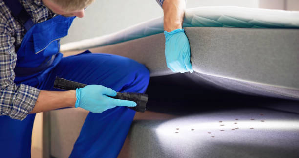 Best Mosquito Control Services  in Bohemia, NY