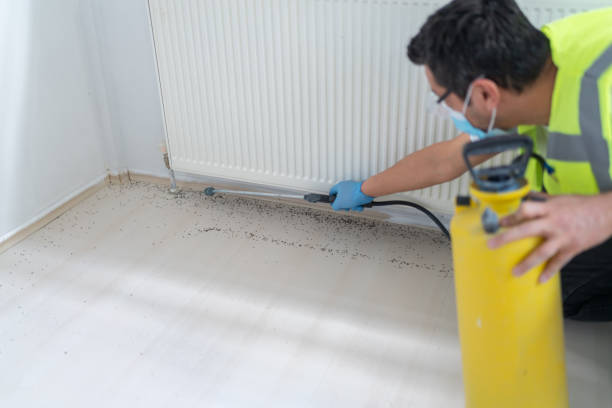 Best Pest Control Treatment  in Bohemia, NY